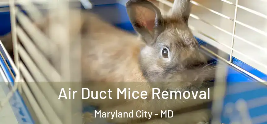  Air Duct Mice Removal Maryland City - MD