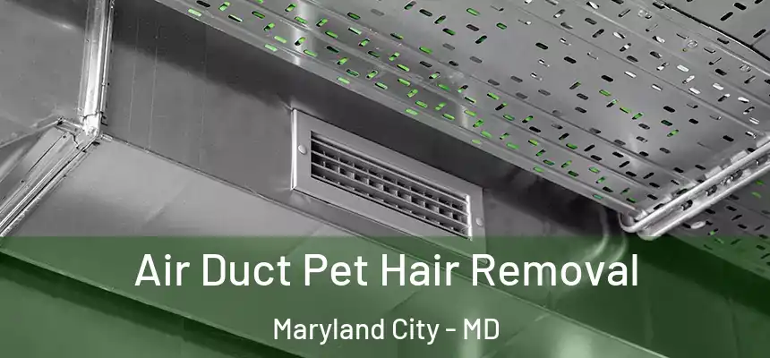 Air Duct Pet Hair Removal Maryland City - MD
