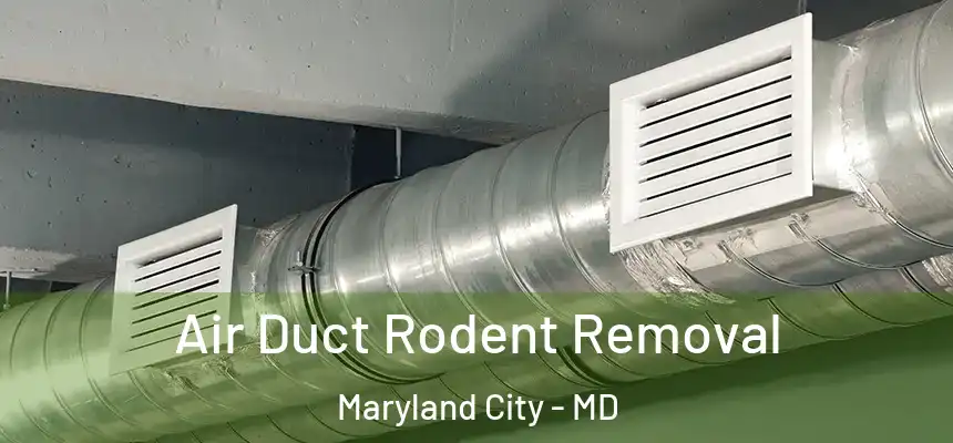  Air Duct Rodent Removal Maryland City - MD