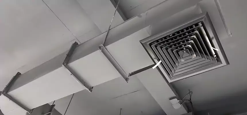 Our Pest Removal From Ducts Services in Maryland City, MD