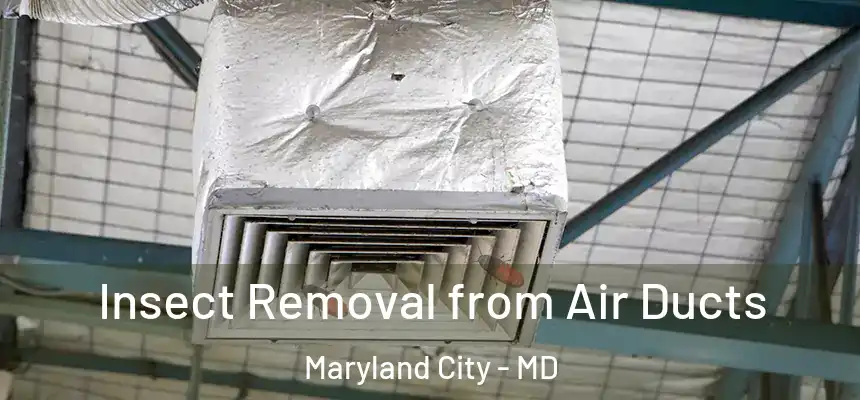 Insect Removal from Air Ducts Maryland City - MD