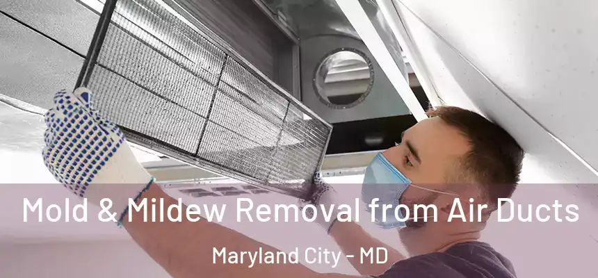  Mold & Mildew Removal from Air Ducts Maryland City - MD