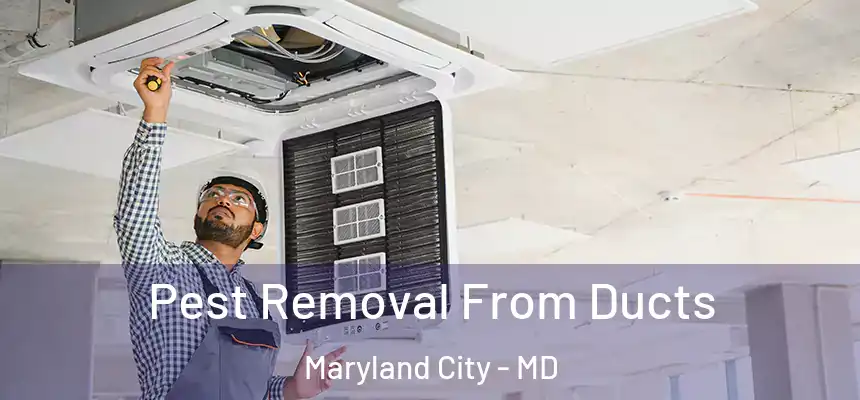 Pest Removal From Ducts Maryland City - MD