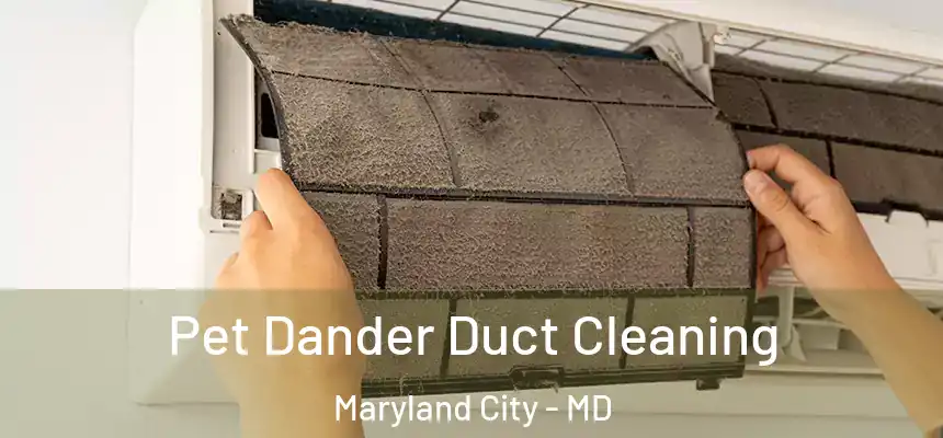 Pet Dander Duct Cleaning Maryland City - MD