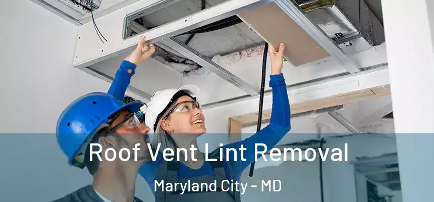  Roof Vent Lint Removal Maryland City - MD