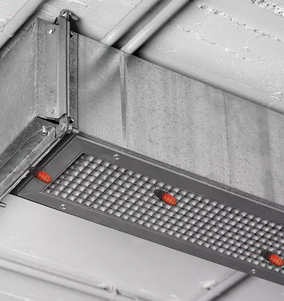 Affordable Insect Removal from Air Ducts in Maryland City, MD