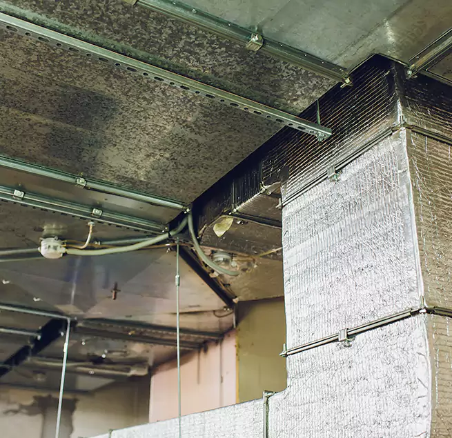 Why Homeowners & Businesses Trust Us in Maryland City, MD?